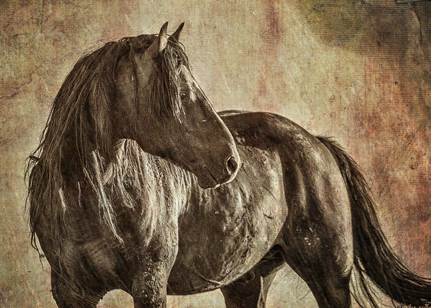 Majestic Dark Horse Wall Art - Vintage Textured Equestrian Portrait - Rustic Home Decor