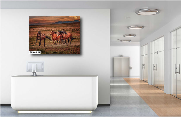 Wild Mustang Canvas Art - 'Dusk Runners' - Western Horse Photography - Mountain Sunset Wall Decor
