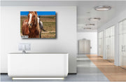 Majestic Wild Mustang Wall Art - Chestnut Horse Photography - Western Wilderness Decor