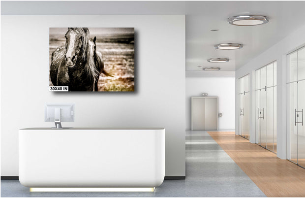 Wild Horse Canvas Art 'Ancient Soul' - Monochrome Mustang Portrait - Western Wall Decor