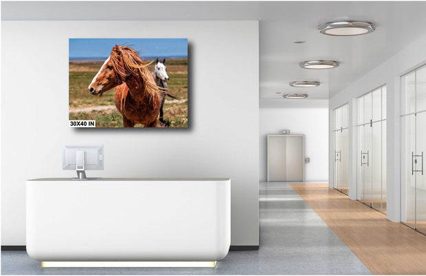 Sunlit Mustang Wall Art - Chestnut Horse with Flowing Mane - Western Wildlife Photography