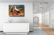 Dappled Mustangs Rising - Wild Horse Confrontation Art - Dramatic Western Landscape Photography
