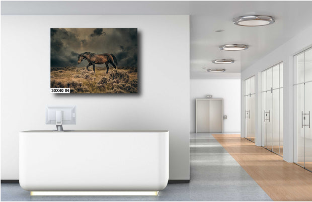 Untamed Glory - Wild Mustang Wall Art - Stormy Prairie Photography - Western Home Decor