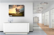 Wild Horse Photography Canvas Art - Golden Hour Mustang Print - Majestic Spirit Western Wall Decor