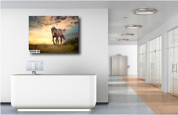 Wild Horse Photography Canvas Art - Golden Hour Mustang Print - Majestic Spirit Western Wall Decor