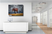 Untamed Spirit - Wild Horse Photography Against Dramatic Storm Clouds - Western Wall Art