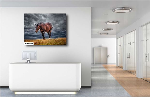 Untamed Spirit - Wild Horse Photography Against Dramatic Storm Clouds - Western Wall Art