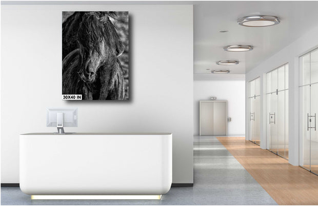 Mystic Gaze Horse Canvas Art - Black and White Equine Portrait - Tousled Mane Wall Decor