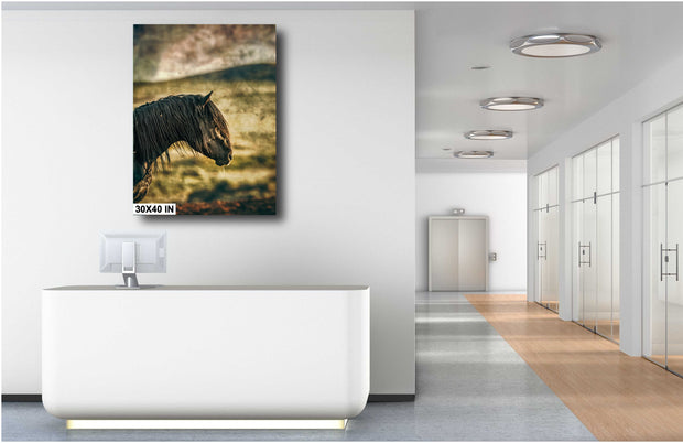 Wild Horse Wall Art "Midnight Silhouette" - Mustang Profile Canvas Print - Western Decor