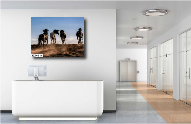 Untamed Spirit - Wild Horses Galloping at Sunset Western Art - Dramatic Wildlife Photography