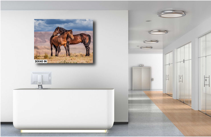 Mustang Bond - Wild Horse Photography - Western Landscape Wall Art - Rustic Home Decor