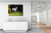 Forest Guardian - White Wild Horse Canvas Art - Wilderness Mustang Photography Print