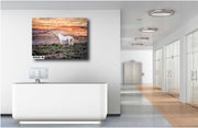 Ethereal White Mustang Art - Wild Horse on Painted Badlands - Sunset Wildlife Photography