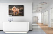 Amber Glow Palomino - Wild Horse Photography - Rustic Western Wall Art Decor