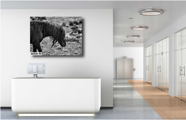 Rugged Spirit Wild Horse Art - Black and White Mustang Photography - Western Wilderness Decor