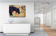 Raven Black Mustang Art - Wild Horse Photography - Rugged Western Landscape Wall Decor