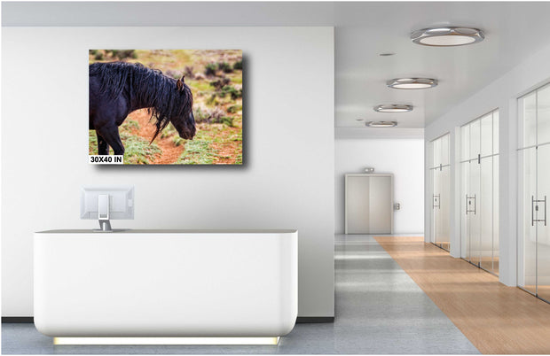 Raven Black Mustang Art - Wild Horse Photography - Rugged Western Landscape Wall Decor