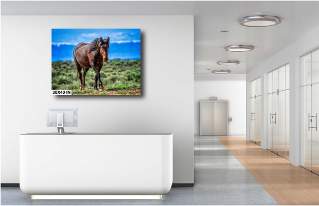 Untamed Spirit Mustang Canvas - Western Wilderness Photography - Sage Prairie Wall Art