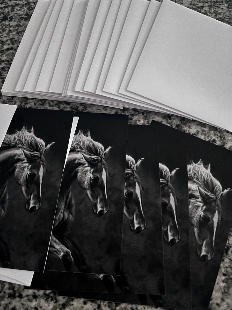 Wild horses in the American West