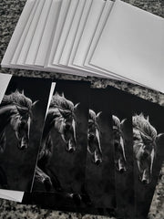 Herd Membership