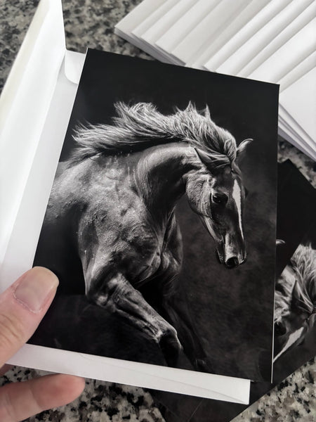 Wild horse photography print sample