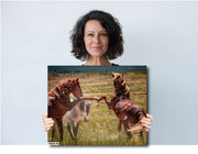 Untamed Spirit - Wild Mustang Confrontation Wall Art - Chestnut Horses Western Photography