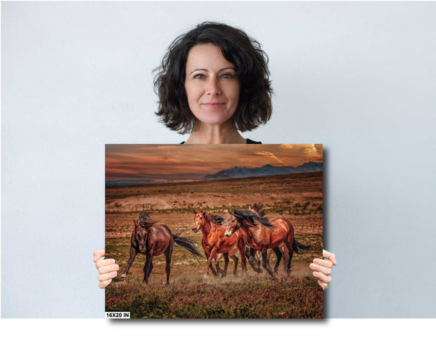 Wild Mustang Canvas Art - 'Dusk Runners' - Western Horse Photography - Mountain Sunset Wall Decor