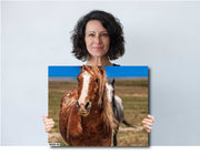 Majestic Wild Mustang Wall Art - Chestnut Horse Photography - Western Wilderness Decor