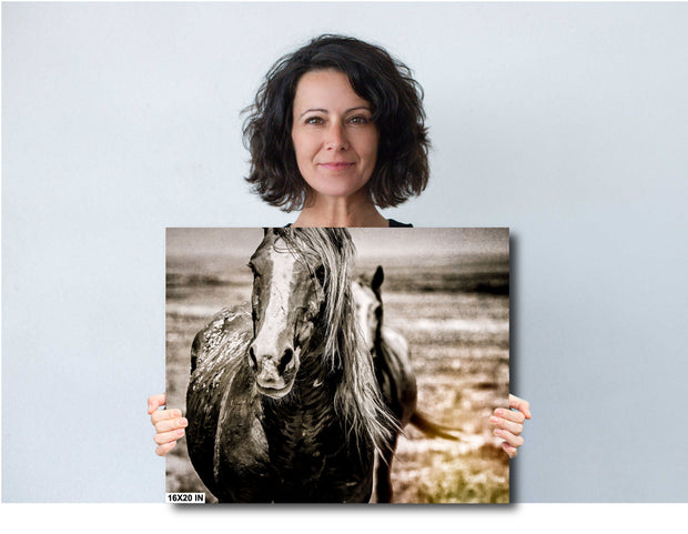 Wild Horse Canvas Art 'Ancient Soul' - Monochrome Mustang Portrait - Western Wall Decor