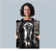 Striking Wild Horse Portrait - Black and White Mustang Canvas - Dramatic Equine Wall Art