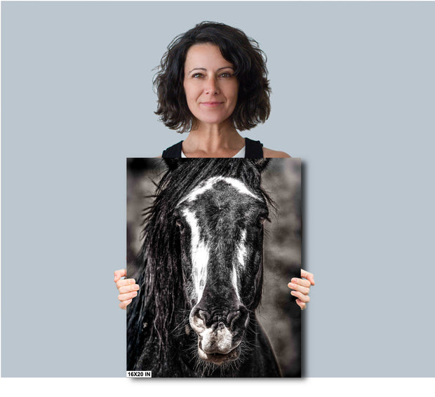Striking Wild Horse Portrait - Black and White Mustang Canvas - Dramatic Equine Wall Art