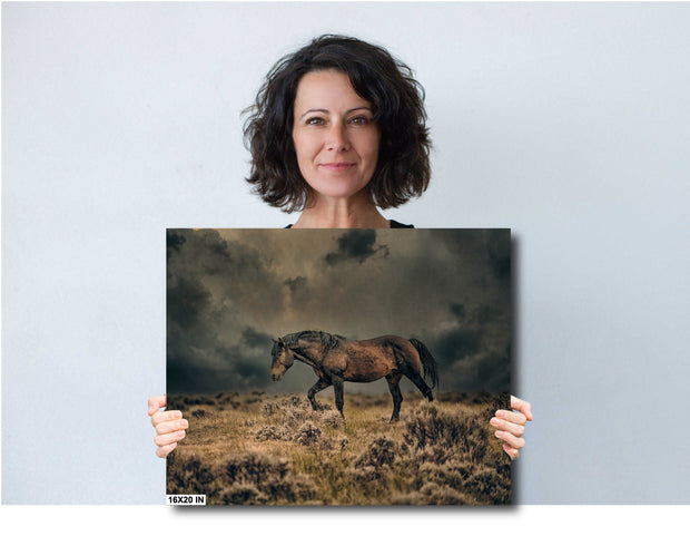 Untamed Glory - Wild Mustang Wall Art - Stormy Prairie Photography - Western Home Decor