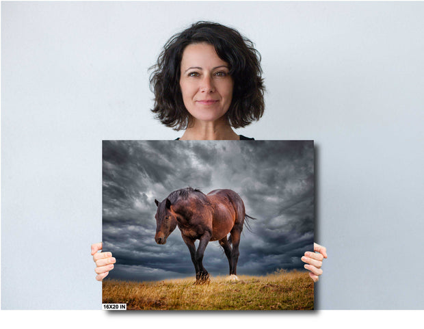 Untamed Spirit - Wild Horse Photography Against Dramatic Storm Clouds - Western Wall Art