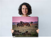 Wild Mustang Canvas Print - 'Dusk Wanderers' - Magenta Sunset Horse Photography - Western Wall Art
