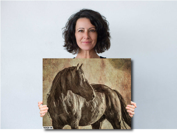 Majestic Dark Horse Wall Art - Vintage Textured Equestrian Portrait - Rustic Home Decor