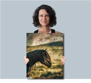Wild Horse Wall Art "Midnight Silhouette" - Mustang Profile Canvas Print - Western Decor