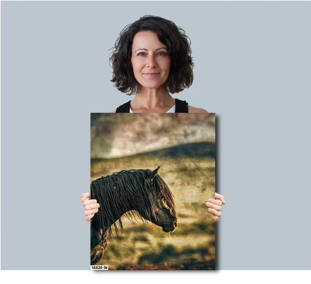 Wild Horse Wall Art "Midnight Silhouette" - Mustang Profile Canvas Print - Western Decor
