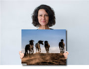 Untamed Spirit - Wild Horses Galloping at Sunset Western Art - Dramatic Wildlife Photography