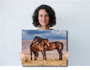Mustang Bond - Wild Horse Photography - Western Landscape Wall Art - Rustic Home Decor