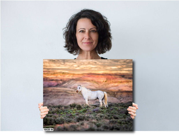 Ethereal White Mustang Art - Wild Horse on Painted Badlands - Sunset Wildlife Photography