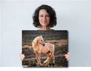 Amber Glow Palomino - Wild Horse Photography - Rustic Western Wall Art Decor
