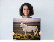 Prairie Ghost - White Mustang Canvas Art - Wild Horse Photography - Western Sunset Decor