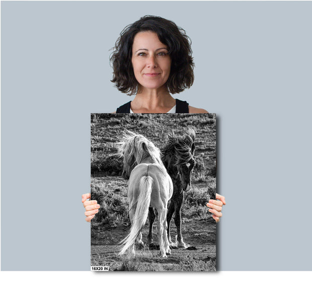 Wild Horse Contrast Black and White Canvas Print - Wind Tossed Manes - Western Art Decor