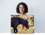 Raven Black Mustang Art - Wild Horse Photography - Rugged Western Landscape Wall Decor